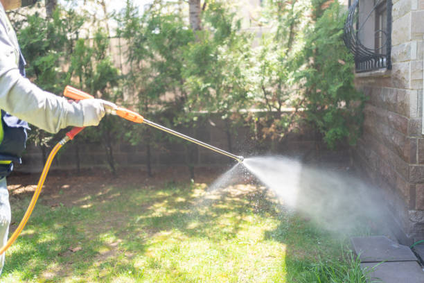Best Mosquito Control Services  in Taylor, TX