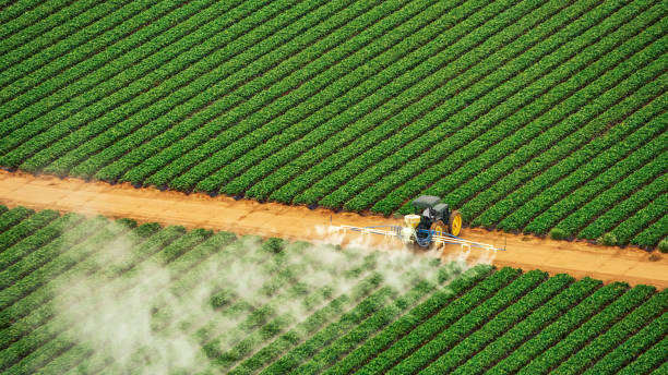 Best Pest Control for Restaurants  in Taylor, TX