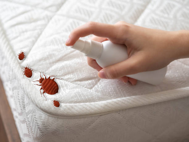 Best Commercial Pest Control Services  in Taylor, TX