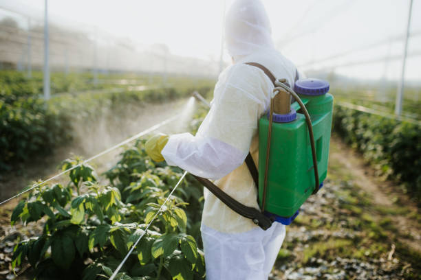 Professional Pest Control in Taylor, TX